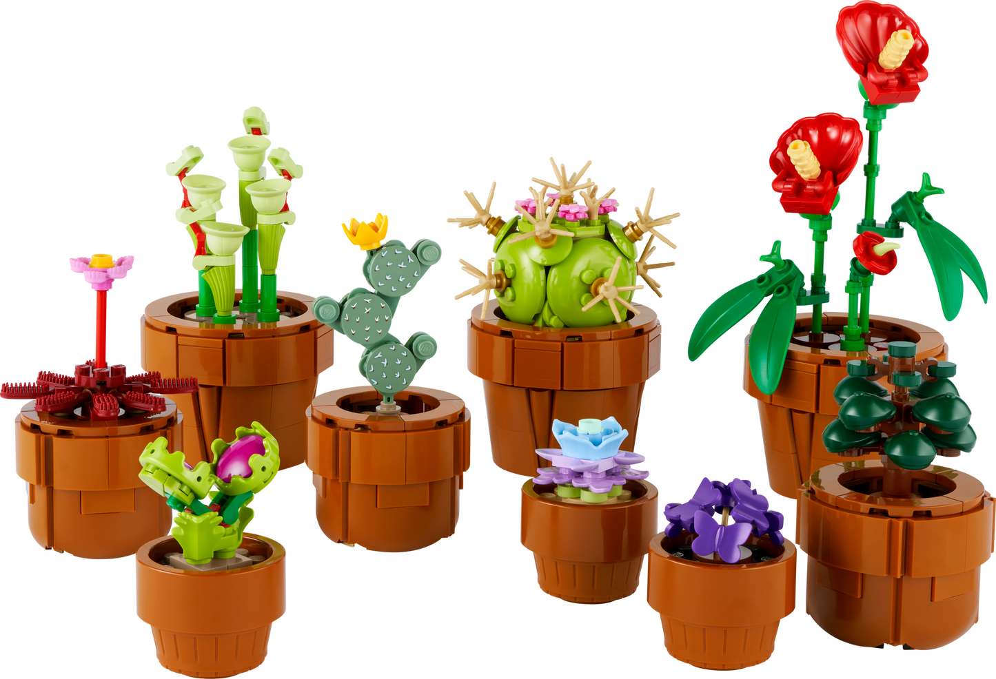 10329 Les petites plantes