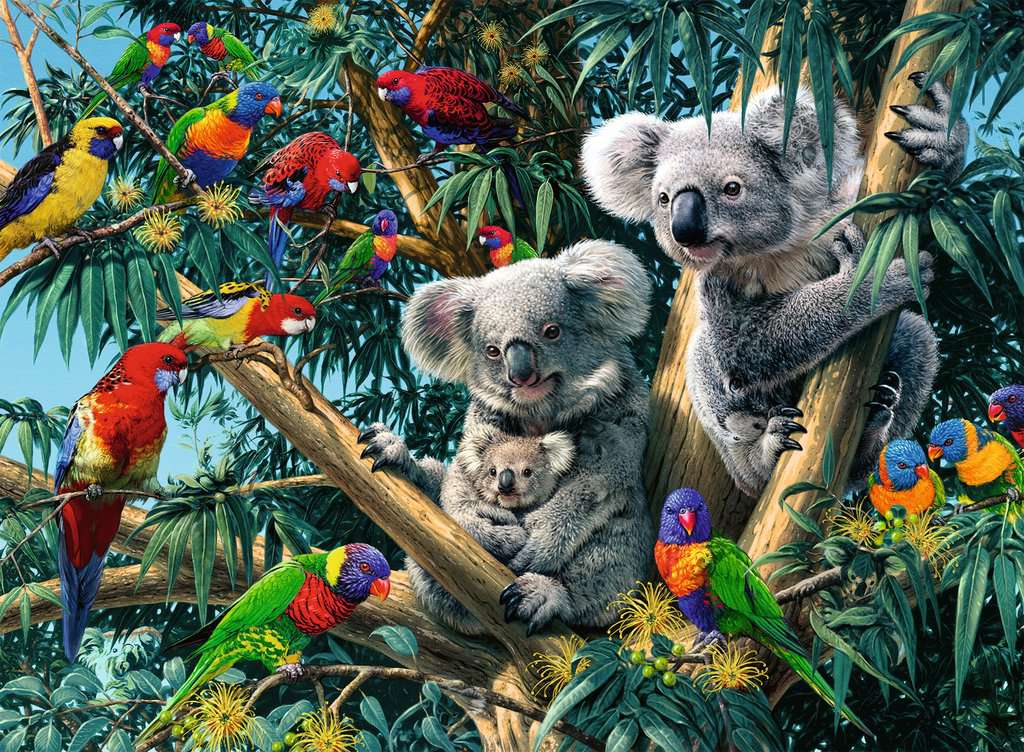 Ravensburger - KOALAS IN A TREE