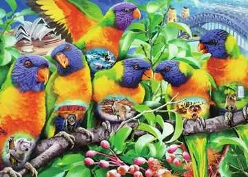 Ravensburger - LAND OF THE LORIKEET