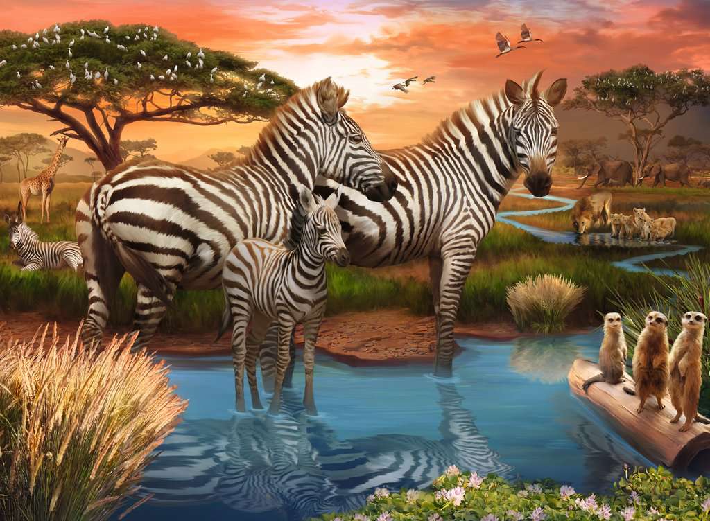 Ravensburger - ZEBRA