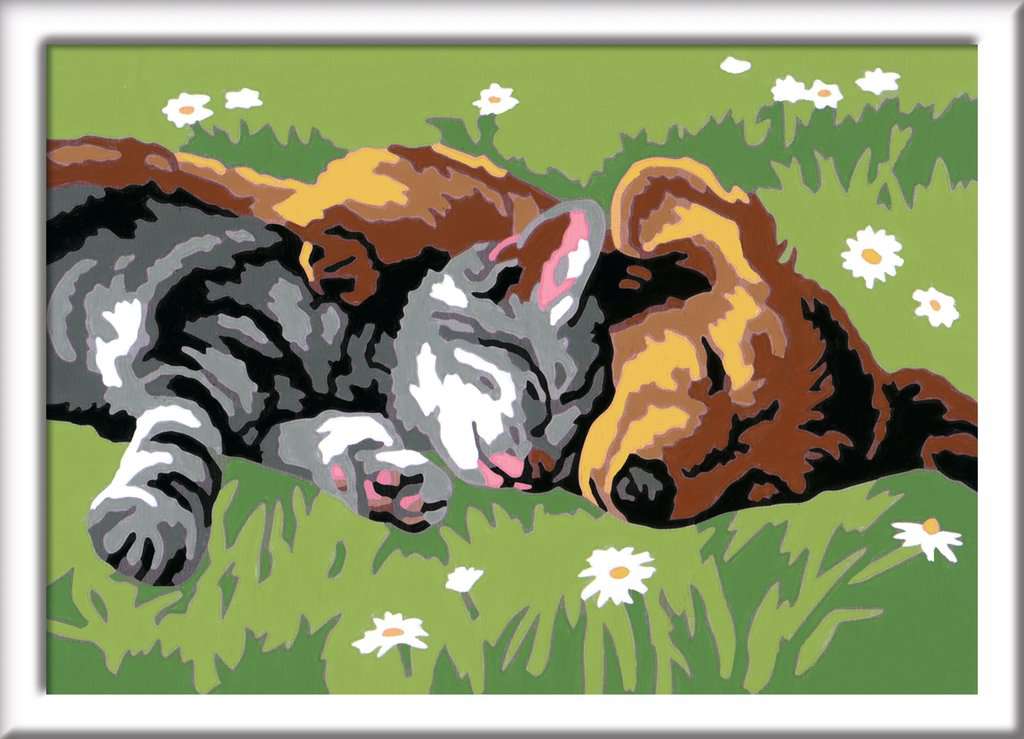 CREART - SLEEPING CAT AND DOG