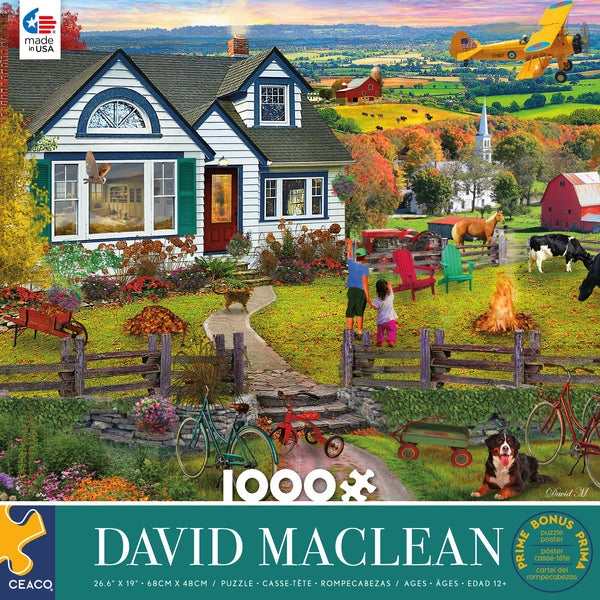 CEACO - David Maclean THE FLY BY 1000pcs