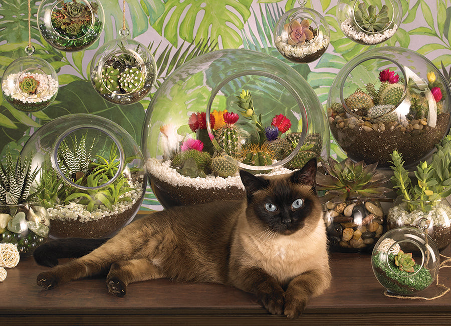 Cobble Hill - Terrarium Cat | 1000 Piece