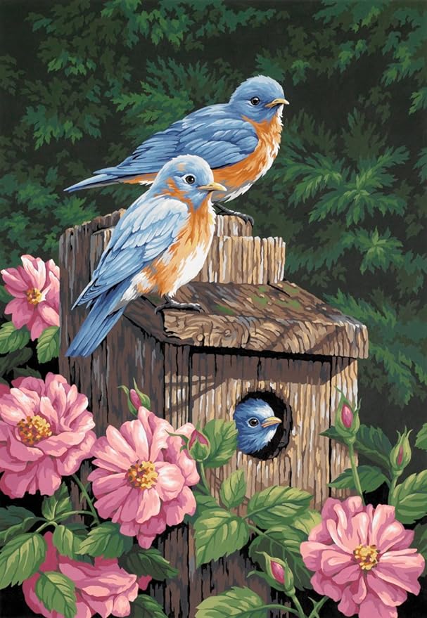 DIMENSIONS - GARDEN BLUEBIRDS 14x20 - Paint by Numbers for Adults (PBN)