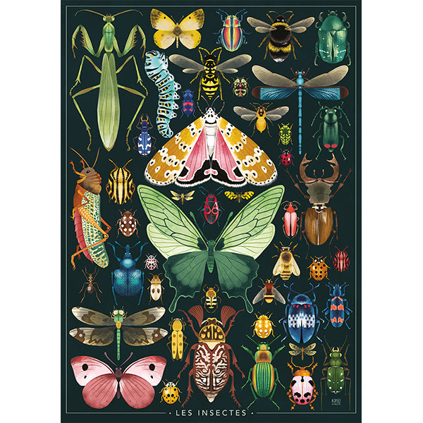 Nathan - LES INSECTES, REBECCA ROMEO