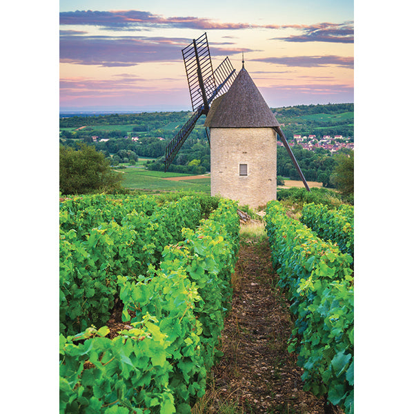 Nathan - MOULIN SORINE, VIGNOBLE SANTENAY