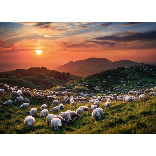 HEYE, SHEEP AND VOLCANOES, AVH