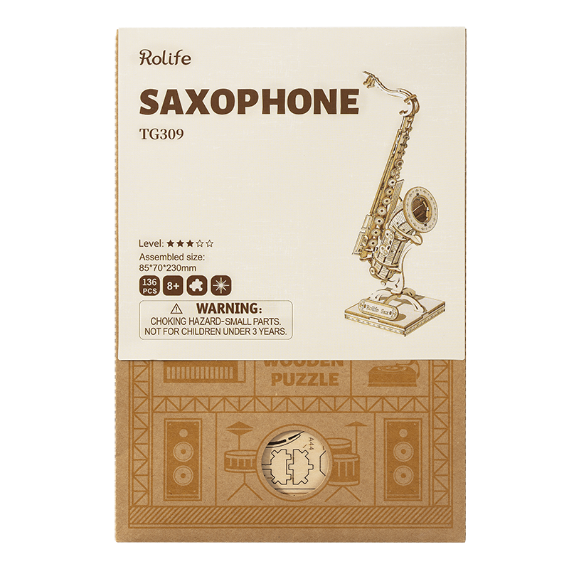 ROKR Saxophone TG309